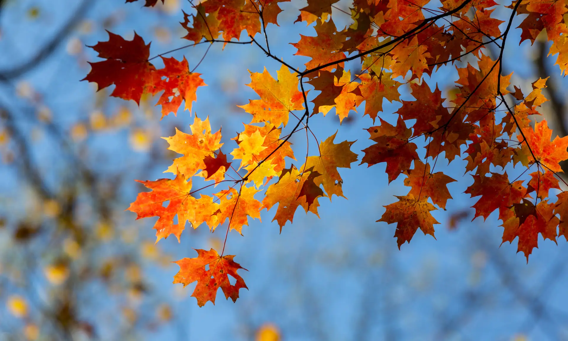Transition Into Fall with September Skin Care Specials