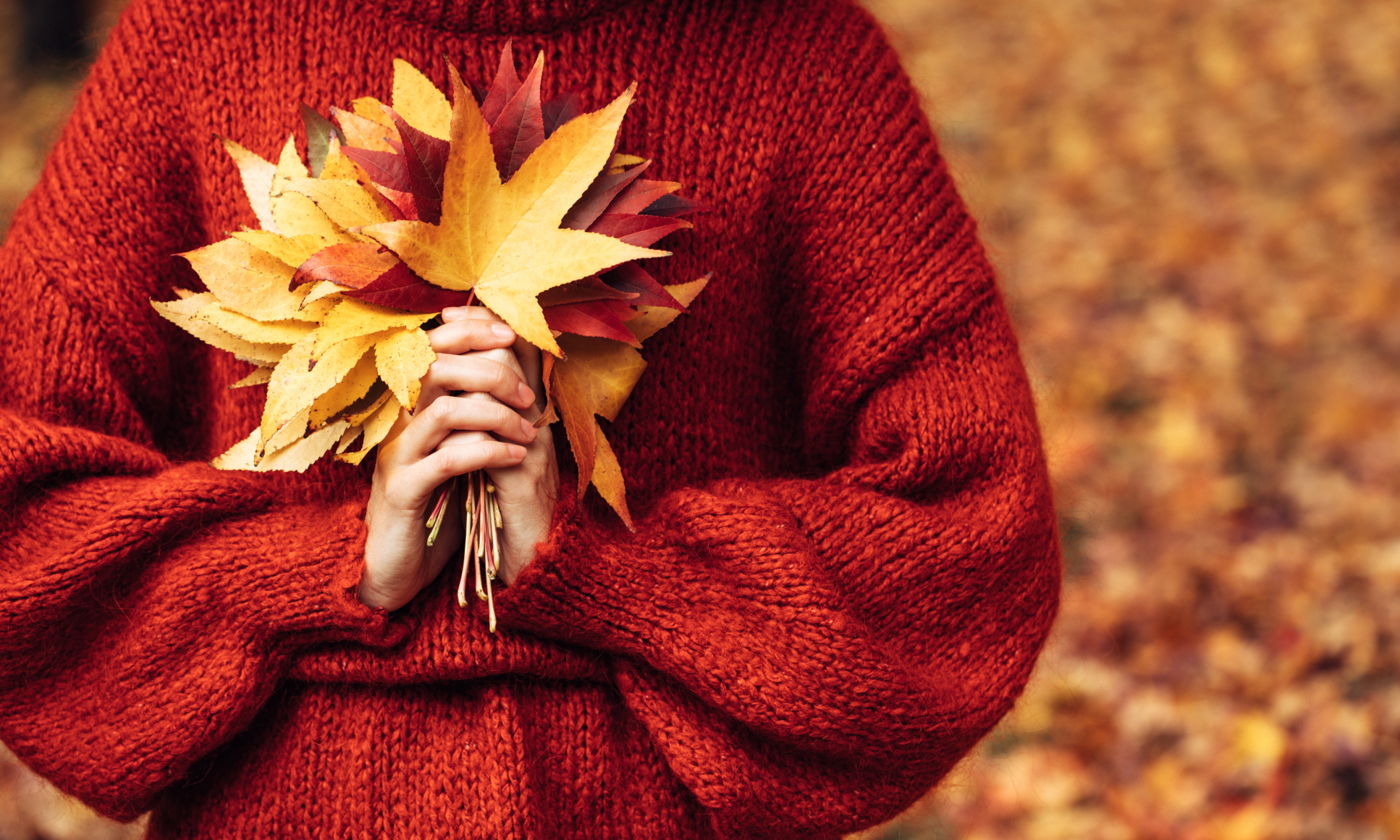 Celebrate the Season of Renewal with October Specials