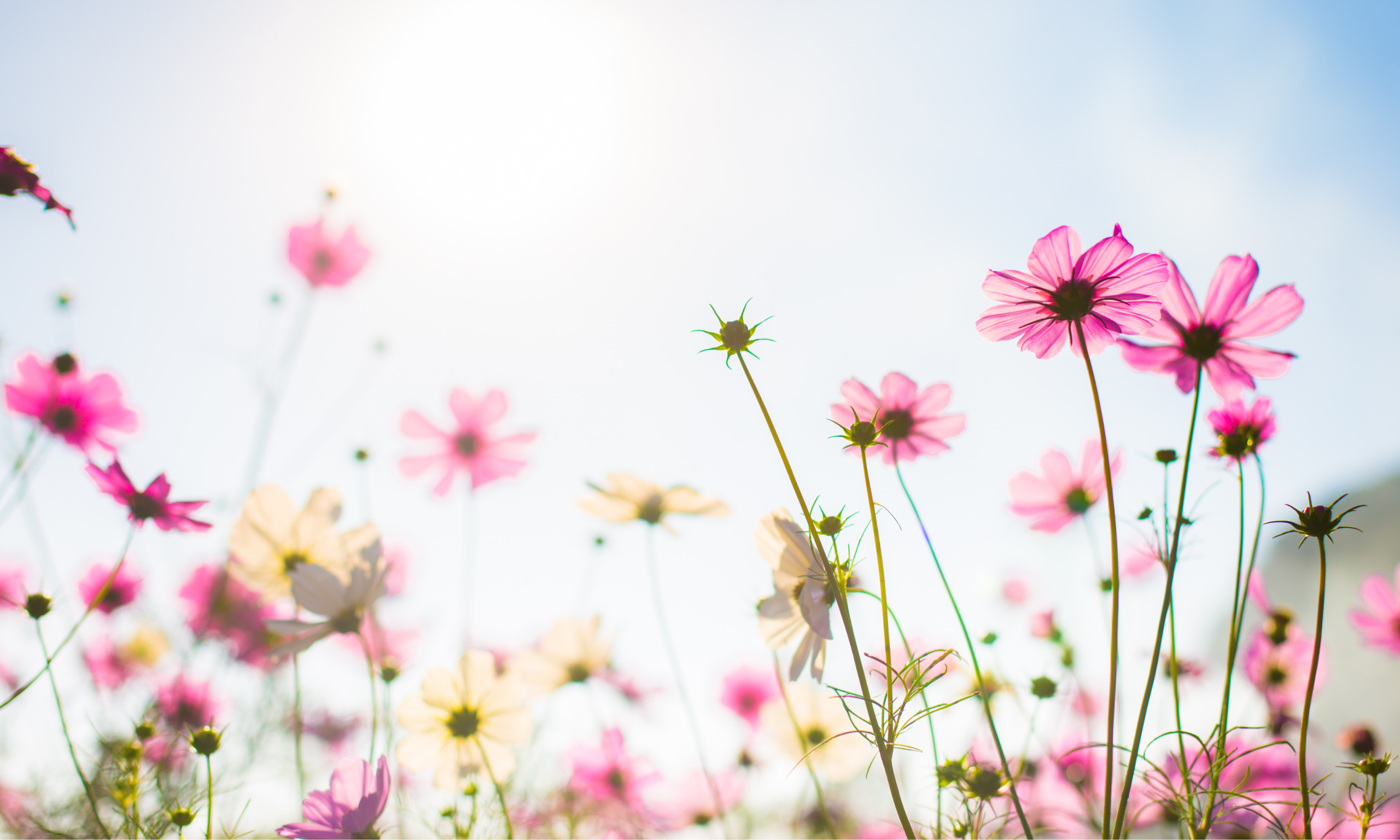 Treat Your Skin This March